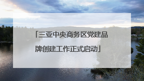 三亚中央商务区党建品牌创建工作正式启动
