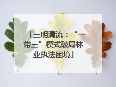 三明清流：“一带三”模式破局林业执法困境