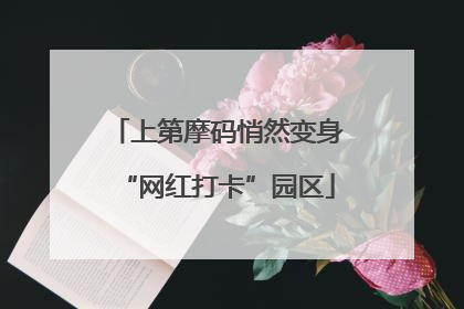 上第摩码悄然变身“网红打卡”园区