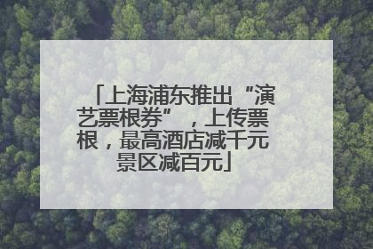 上海浦东推出“演艺票根券”，上传票根，最高酒店减千元景区减百元
