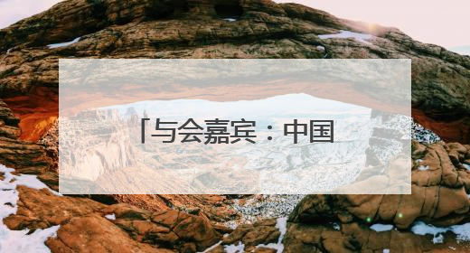 与会嘉宾：中国与中亚开展人工智能合作前景广阔