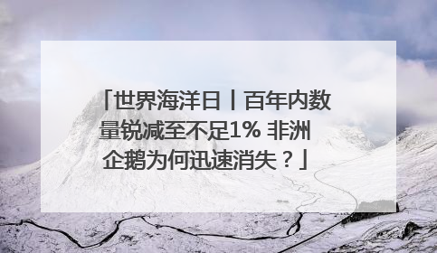 世界海洋日丨百年内数量锐减至不足1% 非洲企鹅为何迅速消失？