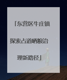 东营区牛庄镇探索占道晒粮治理新路径