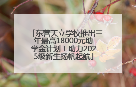 东营天立学校推出三年最高18000元助学金计划！助力2025级新生扬帆起航
