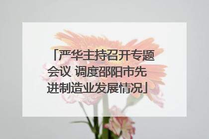 严华主持召开专题会议 调度邵阳市先进制造业发展情况