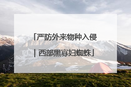 严防外来物种入侵｜西部黑寡妇蜘蛛