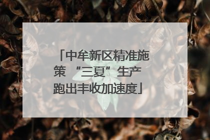 中牟新区精准施策 “三夏”生产跑出丰收加速度