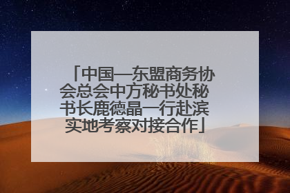 中国—东盟商务协会总会中方秘书处秘书长鹿德晶一行赴滨实地考察对接合作