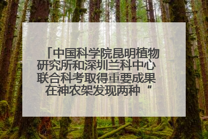 中国科学院昆明植物研究所和深圳兰科中心联合科考取得重要成果 在神农架发现两种“国保”级兰花