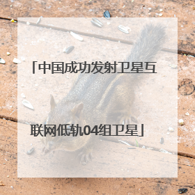 中国成功发射卫星互联网低轨04组卫星