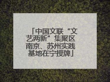 中国文联“文艺两新”集聚区南京、苏州实践基地在宁授牌