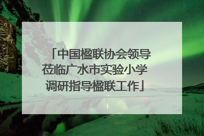 中国楹联协会领导莅临广水市实验小学调研指导楹联工作