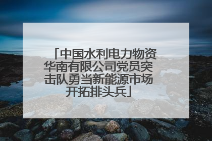 中国水利电力物资华南有限公司党员突击队勇当新能源市场开拓排头兵