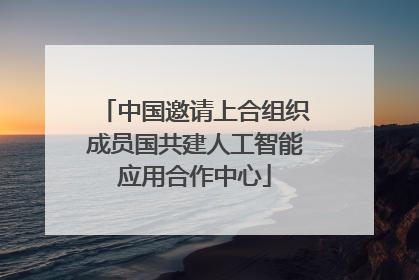 中国邀请上合组织成员国共建人工智能应用合作中心