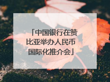 中国银行在赞比亚举办人民币国际化推介会
