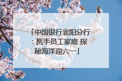 中国银行襄阳分行：携手员工家庭 探秘海洋迎六一
