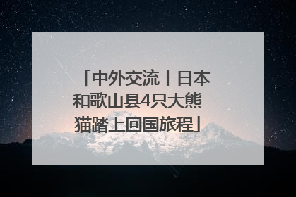 中外交流丨日本和歌山县4只大熊猫踏上回国旅程