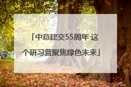 中意建交55周年 这个研习营聚焦绿色未来
