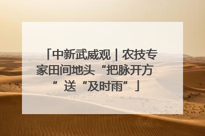中新武威观｜农技专家田间地头“把脉开方”送“及时雨”