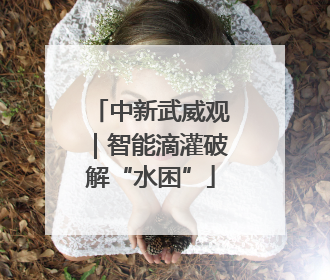 中新武威观｜智能滴灌破解“水困”