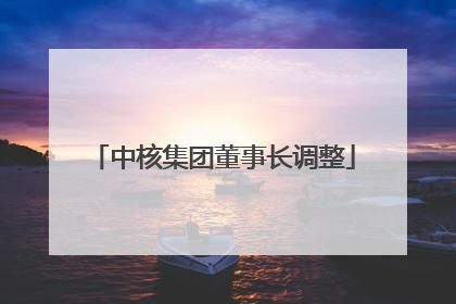 中核集团董事长调整