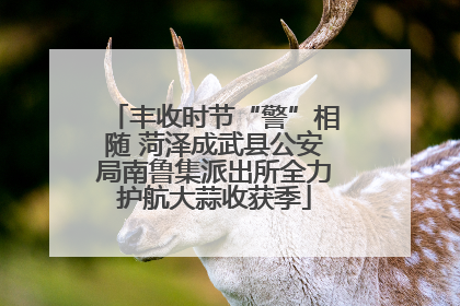 丰收时节“警”相随 菏泽成武县公安局南鲁集派出所全力护航大蒜收获季