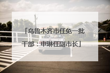 乌鲁木齐市任免一批干部：申琳任副市长