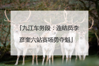 九江车务段：连结员李彦奎六站赛场勇夺魁