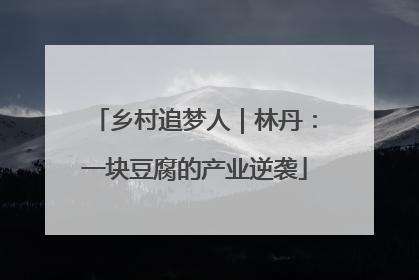 乡村追梦人｜林丹：一块豆腐的产业逆袭