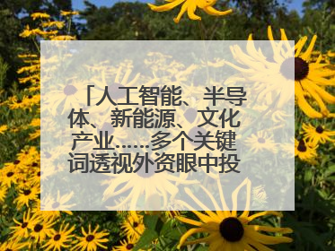 人工智能、半导体、新能源、文化产业……多个关键词透视外资眼中投资中国的新机遇