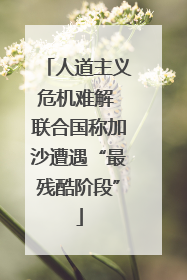 人道主义危机难解 联合国称加沙遭遇“最残酷阶段”