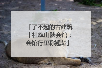 了不起的古建筑丨社旗山陕会馆：会馆行里称翘楚