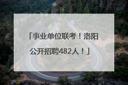事业单位联考！洛阳公开招聘482人！