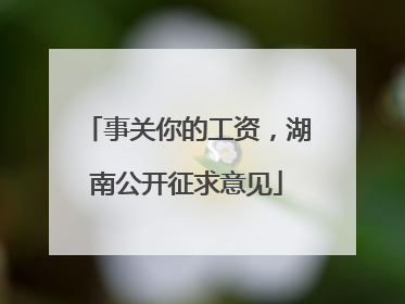 事关你的工资，湖南公开征求意见