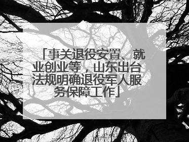 事关退役安置、就业创业等，山东出台法规明确退役军人服务保障工作