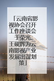 云南省影视协会召开工作座谈会 于荣光、王砚辉为云南影视产业发展出谋划策