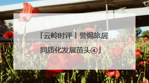 云岭时评丨警惕旅居同质化发展苗头④