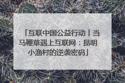 互联中国公益行动丨当马鞭草遇上互联网：昆明小渔村的逆袭密码