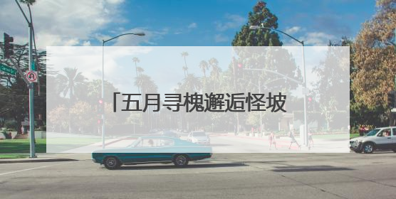 五月寻槐邂逅怪坡，沈北新区中医院国潮中医雅集引热潮