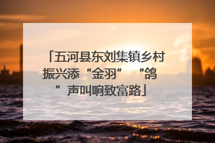 五河县东刘集镇乡村振兴添“金羽” “鸽”声叫响致富路