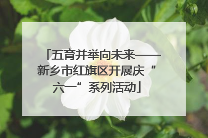 五育并举向未来——新乡市红旗区开展庆“六一”系列活动