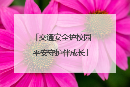 交通安全护校园 平安守护伴成长