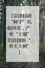 京津科研“种子”扎根河北，产业“土壤”培育创新“参天大树”