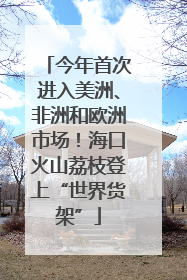 今年首次进入美洲、非洲和欧洲市场！海口火山荔枝登上“世界货架”