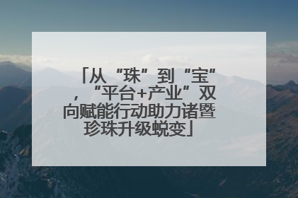 从“珠”到“宝”，“平台+产业”双向赋能行动助力诸暨珍珠升级蜕变