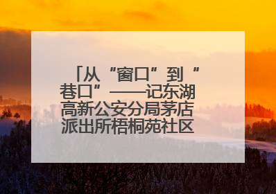 从“窗口”到“巷口”——记东湖高新公安分局茅店派出所梧桐苑社区民警樊艳玲
