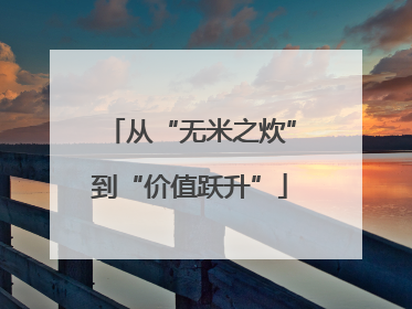 从“无米之炊”到“价值跃升”