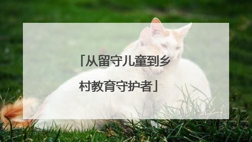 从留守儿童到乡村教育守护者