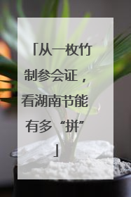 从一枚竹制参会证，看湖南节能有多“拼”
