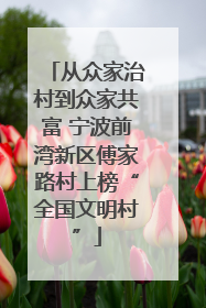 从众家治村到众家共富 宁波前湾新区傅家路村上榜“全国文明村”